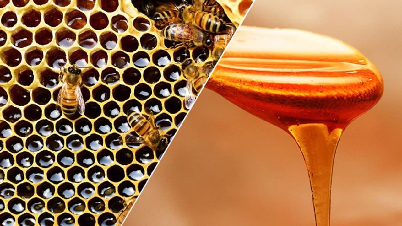 തേനിൽ ചാലിച്ച ആപത്ത്