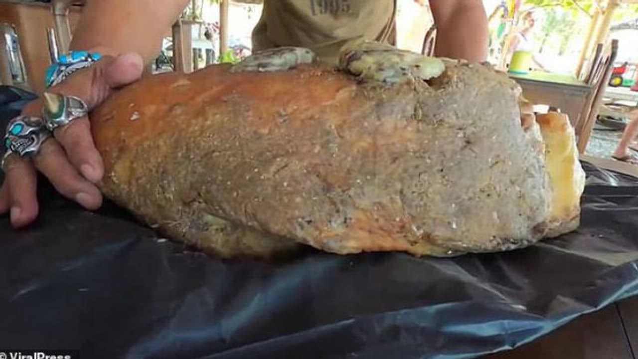 തിമിംഗലത്തിന്റെ ഛര്ദ്ദിലാണ്, അറപ്പ് തോന്നുന്നോ?; എന്നാലിതിന്റെ വിലയൊന്ന് കേട്ടാല് മതി! തിമിംഗലത്തിന്റെ ഛര്ദ്ദിലാണ്, അറപ്പ് തോന്നുന്നോ?; എന്നാലിതിന്റെ വിലയൊന്ന് കേട്ടാല് മതി!