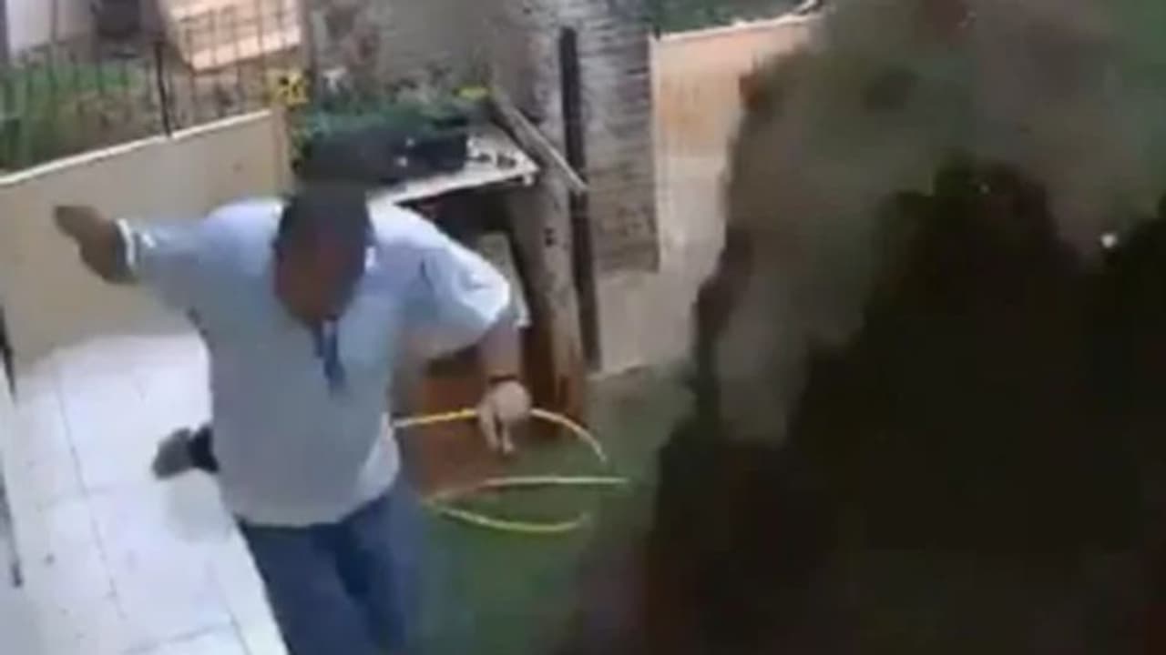 പാറ്റകളെ കൊല്ലാന് തീയിട്ടു, പൊട്ടിത്തെറിയില് മുറ്റം തകര്ന്നു, ഒടുവില് സംഭവിച്ചത്... പാറ്റകളെ കൊല്ലാന് തീയിട്ടു, പൊട്ടിത്തെറിയില് മുറ്റം തകര്ന്നു, ഒടുവില് സംഭവിച്ചത്...