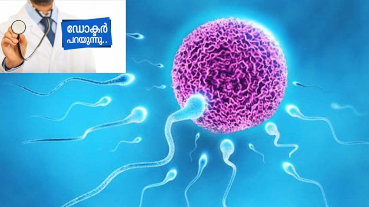 പുരുഷന്മാരിൽ ബീജോൽപാദനം കുറയുന്നതിന്റെ കാരണങ്ങൾ; ഡോക്ടർ പറയുന്നത്... പുരുഷന്മാരിൽ ബീജോൽപാദനം കുറയുന്നതിന്റെ കാരണങ്ങൾ; ഡോക്ടർ പറയുന്നത്...