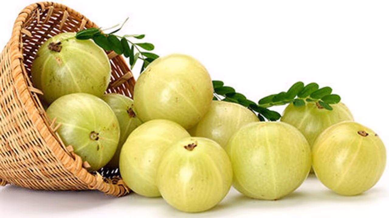 ദിവസവും ഒരു 'നെല്ലിക്ക' കഴിക്കുന്നത് ശീലമാക്കൂ; ഗുണങ്ങൾ അറിയാം ദിവസവും ഒരു 'നെല്ലിക്ക' കഴിക്കുന്നത് ശീലമാക്കൂ; ഗുണങ്ങൾ അറിയാം