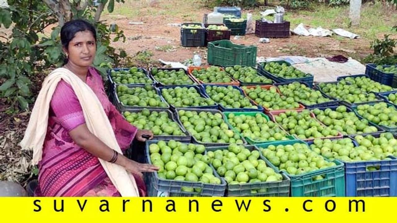 ಟೆಕ್ಕಿಗಿಂತ ಹೆಚ್ಚು ಸಂಪಾದಿಸುವ ಈ ರೈತ ಮಹಿಳೆ! ಅಬ್ಬಾ ! ಟೆಕ್ಕಿಗಿಂತ ಹೆಚ್ಚು ಸಂಪಾದಿಸುವ ಈ ರೈತ ಮಹಿಳೆ! ಅಬ್ಬಾ !