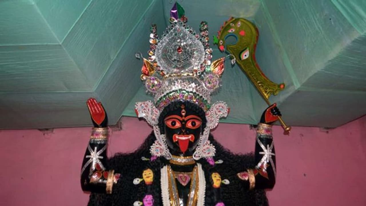 দীপাবলিতে রাশি অনুসারে করুন মায়ের পূজা, মা কালীর আশীর্বাদ পাবেন