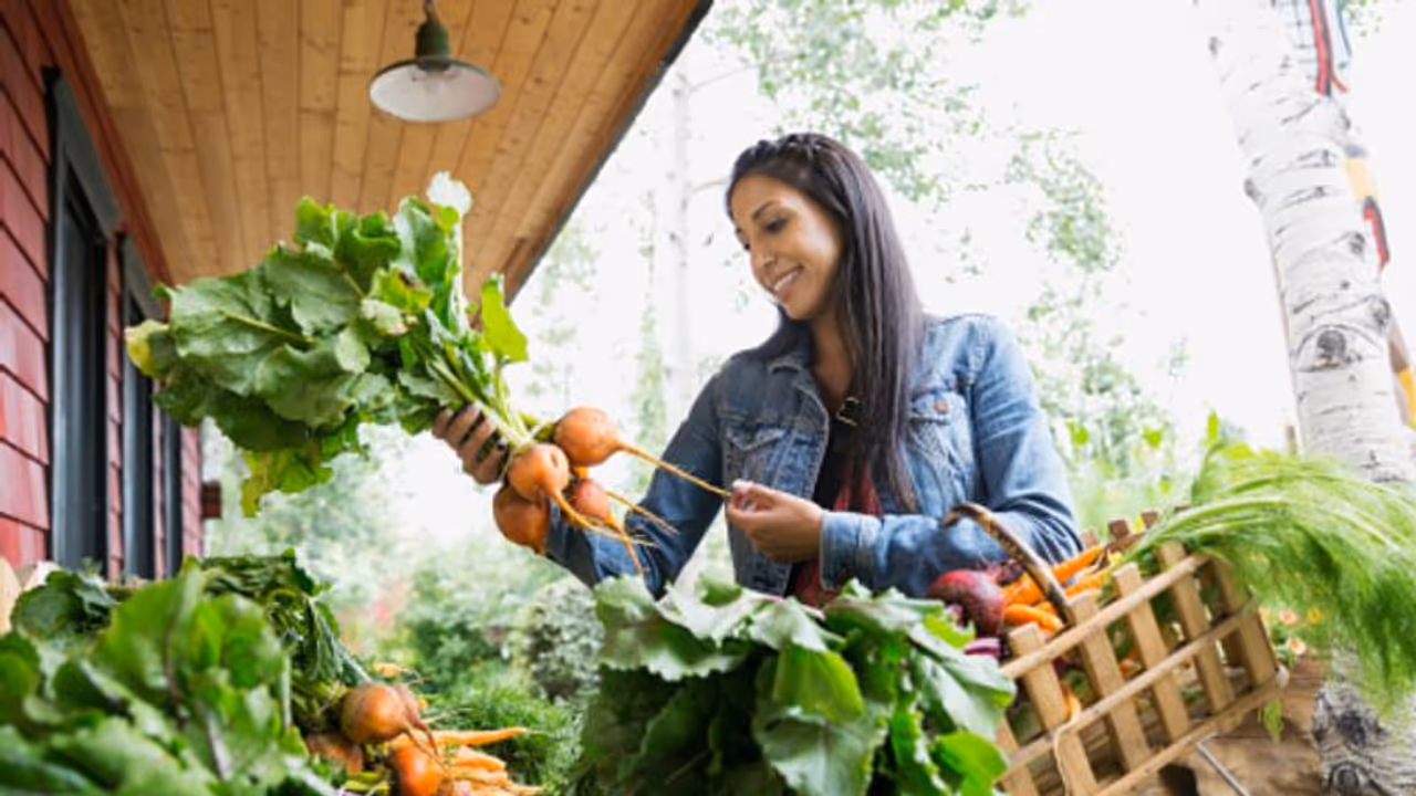 14 shak at Diwali 14 shak at Diwali