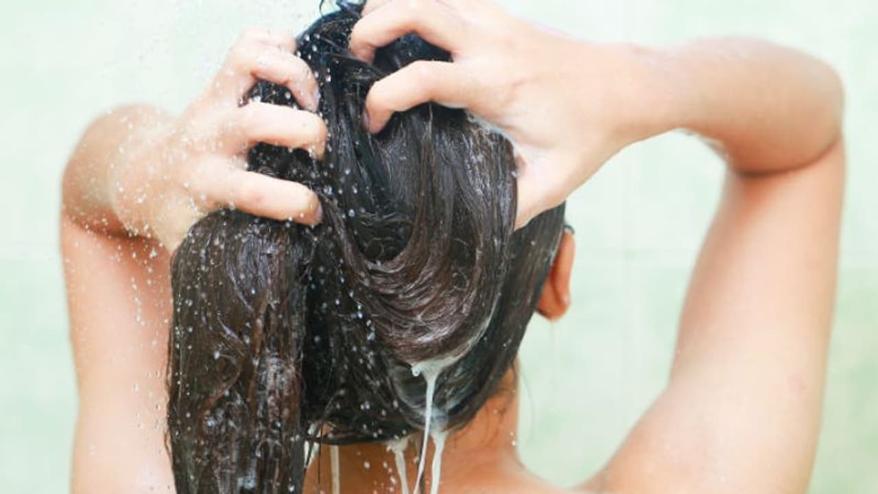 বৃষ্টির জলে চুলের বারোটা, এই পরিস্থিতে চুলের যত্ন নিন এভাবে বৃষ্টির জলে চুলের বারোটা, এই পরিস্থিতে চুলের যত্ন নিন এভাবে