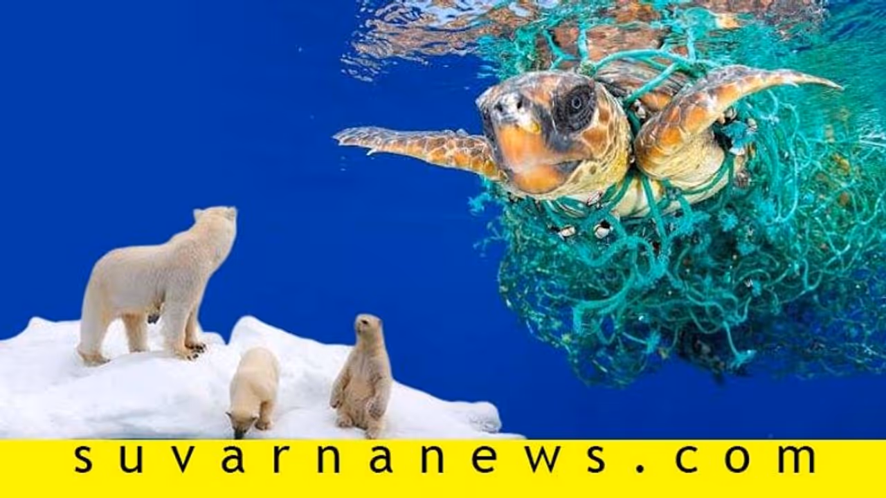 ಜಗತ್ತಿನ ವನ್ಯಜೀವಿಗಳು ಎದುರಿಸುತ್ತಿರುವ ಐದು ಅಪಾಯಗಳು!