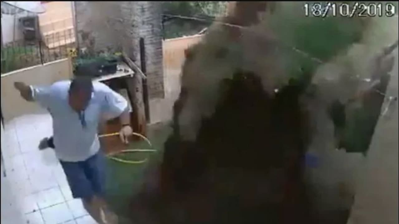 கரப்பான் பூச்சியை கொல்ல போய்... தோட்டத்தை வெடி வச்சி தூக்கின ஆசாமி...! கரப்பான் பூச்சியை கொல்ல போய்... தோட்டத்தை வெடி வச்சி தூக்கின ஆசாமி...!