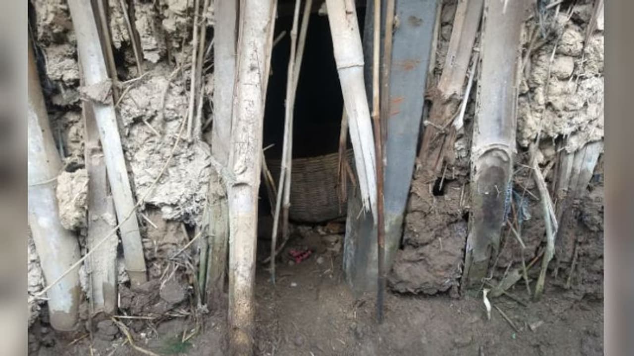 অজানা জন্তুর আক্রমণ, পরবে আতঙ্কের ছায়া জঙ্গলমহলে অজানা জন্তুর আক্রমণ, পরবে আতঙ্কের ছায়া জঙ্গলমহলে