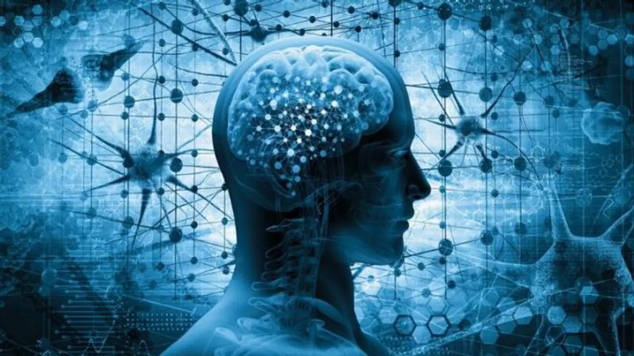 আইকিউয়ের চেয়ে ইকিউ কিছু কম যায় না, আর এটা না থাকলে মানবিকতা হারাবেন আইকিউয়ের চেয়ে ইকিউ কিছু কম যায় না, আর এটা না থাকলে মানবিকতা হারাবেন