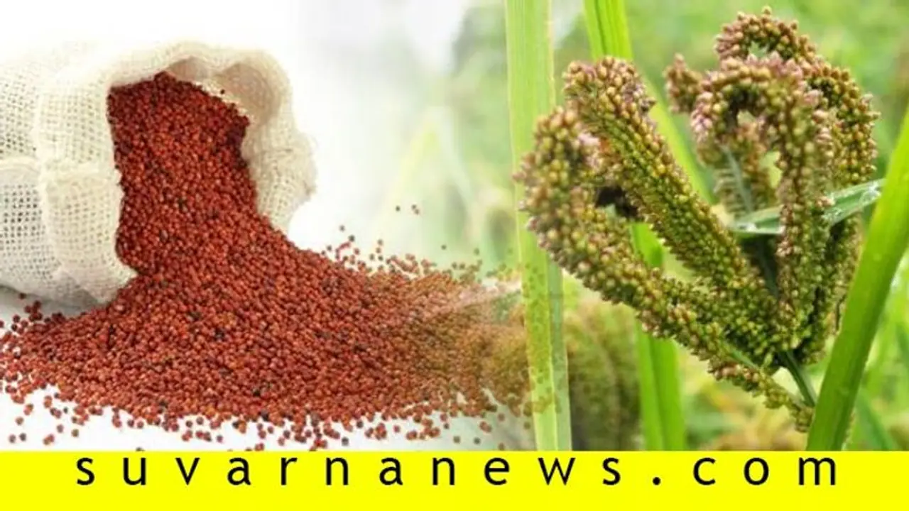 ಯೋಗ್ಯರಾಗಿ ಭೋಗ್ಯರಾಗಿ ಭಾಗ್ಯವಂತ 'ರಾಗಿ' ನೀವು... ಯೋಗ್ಯರಾಗಿ ಭೋಗ್ಯರಾಗಿ ಭಾಗ್ಯವಂತ 'ರಾಗಿ' ನೀವು...