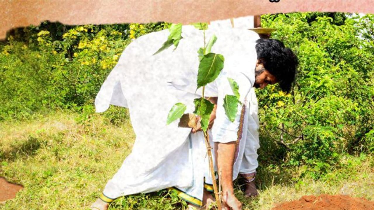 నరకానికి వెళ్లకూడదంటే ఇలా చేస్తే మంచిది : దీక్షలో పవన్ కళ్యాణ్ నరకానికి వెళ్లకూడదంటే ఇలా చేస్తే మంచిది : దీక్షలో పవన్ కళ్యాణ్