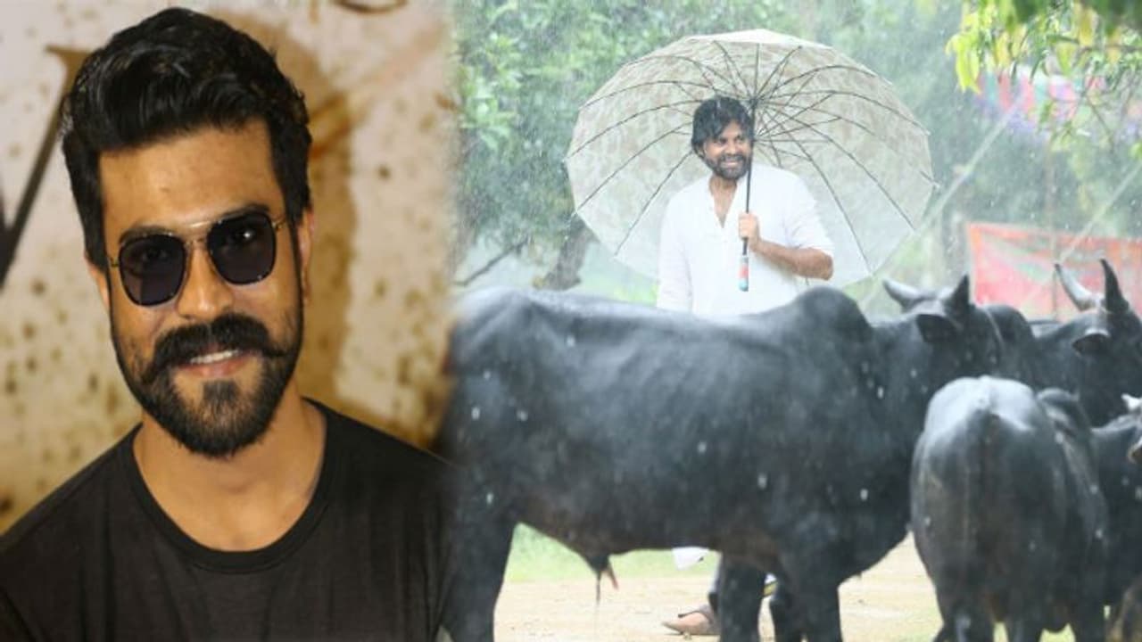 భవిష్యత్తులో గోశాల ప్రారంభిస్తా.. పవన్ కళ్యాణ్ స్ఫూర్తితో రాంచరణ్!