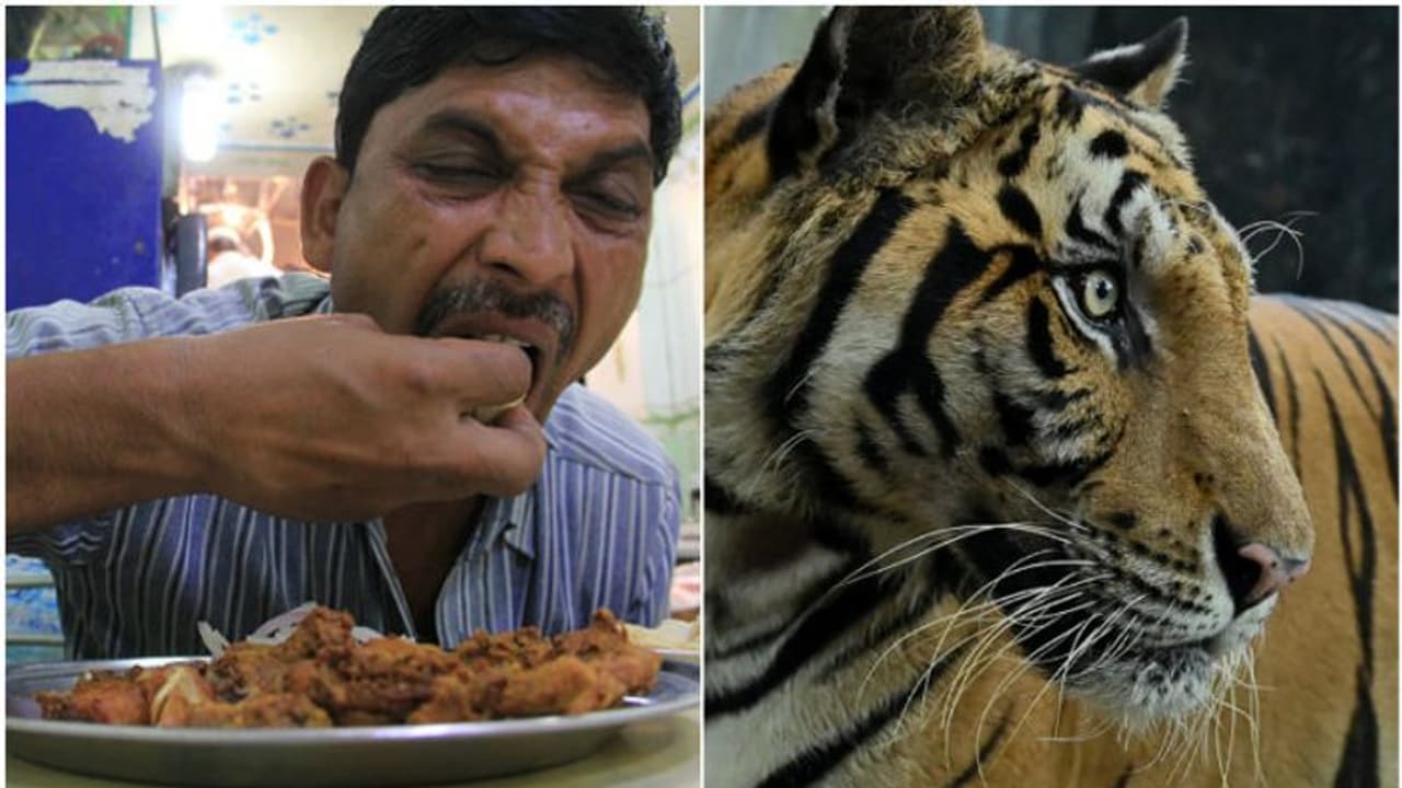 ছোটবেলা থেকে আমিষ খেলে, ভবিষ্যতে মানুষখেকো হতে পারে, বিস্ফোরক বিজেপি বিধায়ক ছোটবেলা থেকে আমিষ খেলে, ভবিষ্যতে মানুষখেকো হতে পারে, বিস্ফোরক বিজেপি বিধায়ক