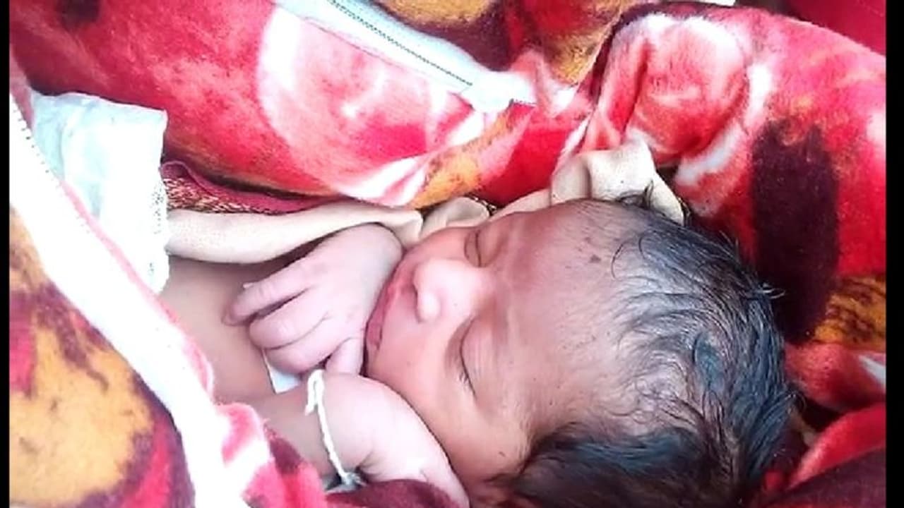 హైదరాబాద్లో దారుణం...పురిటిబిడ్డ బ్రతికుండగానే పూడ్చిపెట్టే ప్రయత్నం హైదరాబాద్లో దారుణం...పురిటిబిడ్డ బ్రతికుండగానే పూడ్చిపెట్టే ప్రయత్నం