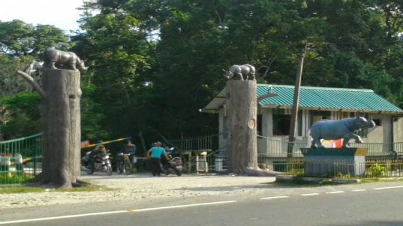 জলদাপাড়া অভয়ারণ্যে গন্ডারকে গুলি করে মারল চোরাশিকারীরা জলদাপাড়া অভয়ারণ্যে গন্ডারকে গুলি করে মারল চোরাশিকারীরা