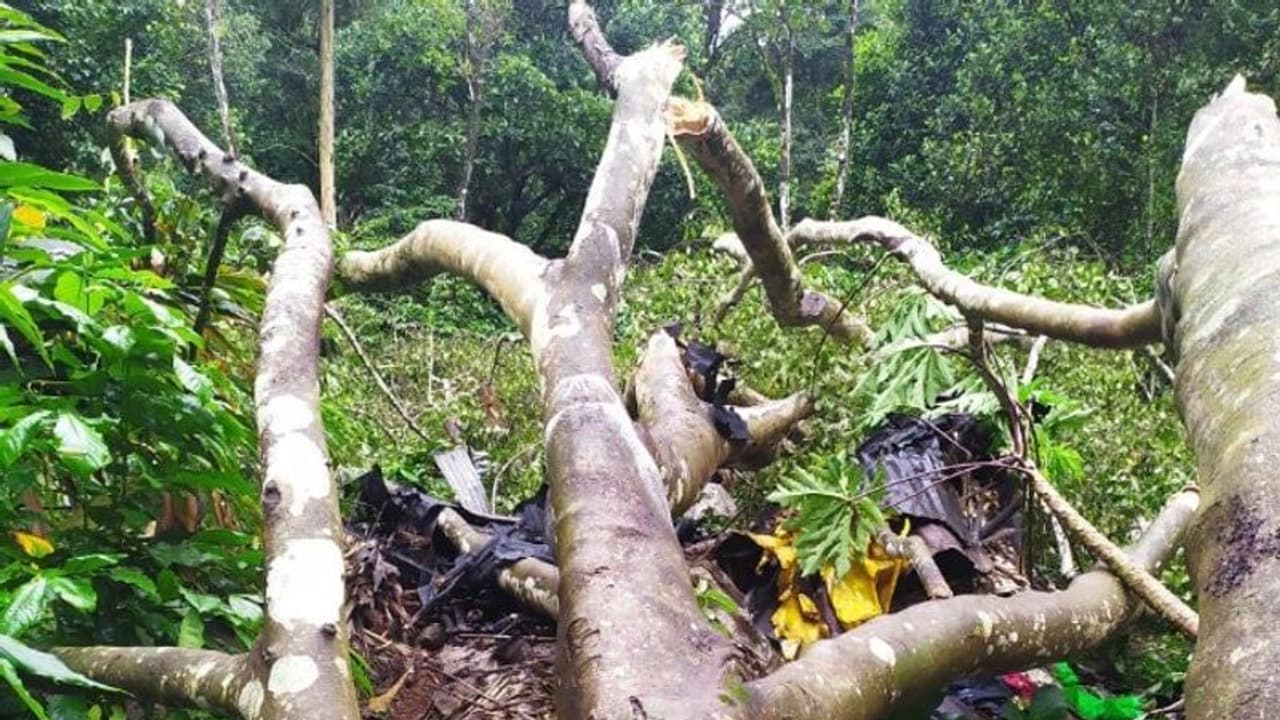 വീടിന് മുകളില് മരം വീണ് നാല് മാസം പ്രായമായ കുഞ്ഞ് മരിച്ചു വീടിന് മുകളില് മരം വീണ് നാല് മാസം പ്രായമായ കുഞ്ഞ് മരിച്ചു