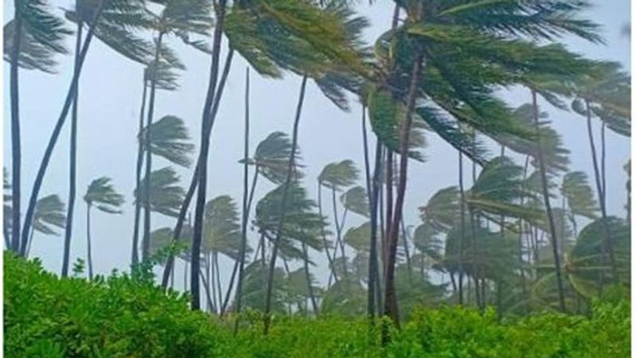 'മഹ' കേരളതീരം വിട്ടു, ഭീതി ഒഴിഞ്ഞ് കേരളവും ലക്ഷദ്വീപും; ചുഴലിക്കാറ്റ് ഒമാൻ തീരത്തേക്ക് 'മഹ' കേരളതീരം വിട്ടു, ഭീതി ഒഴിഞ്ഞ് കേരളവും ലക്ഷദ്വീപും; ചുഴലിക്കാറ്റ് ഒമാൻ തീരത്തേക്ക്