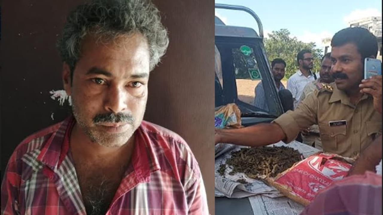മലപ്പുറം നഗരമധ്യത്തിൽ നാല് കിലോ കഞ്ചാവുമായി മധ്യവയസ്‌ക്കൻ പിടിയിൽ
