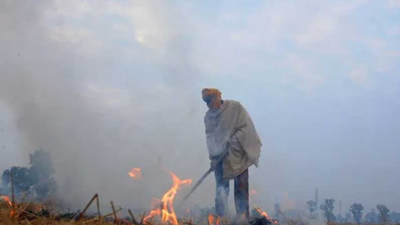 உத்தரப்பிரதேசத்தி்ல் 300 விவசாயிகள் மீது திடீர் வழக்குப்பதிவு: ஏன் தெரியுமா? உத்தரப்பிரதேசத்தி்ல் 300 விவசாயிகள் மீது திடீர் வழக்குப்பதிவு: ஏன் தெரியுமா?