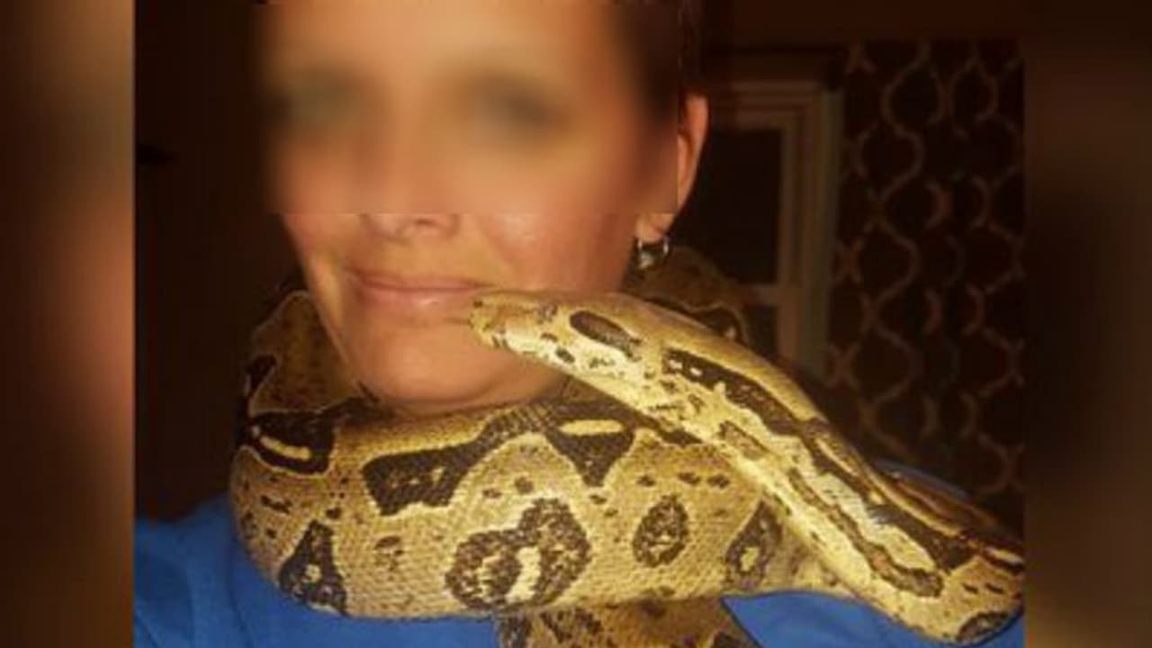 लड़की की कमरे में पड़ी थी लाश, गले में लिपटा था अजगर, जांच में पता चला कि घर नहीं, ये सांपों का डेरा था लड़की की कमरे में पड़ी थी लाश, गले में लिपटा था अजगर, जांच में पता चला कि घर नहीं, ये सांपों का डेरा था