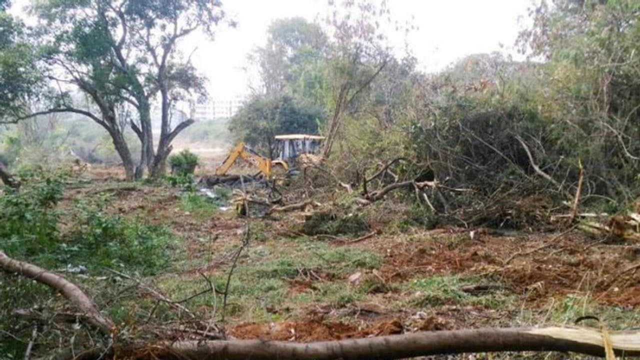 ರಾಯಬಾಗ: ಸರ್ಕಾರಿ ಗೋಮಾಳ ಕಂಡವರ ಪಾಲು: ಇದ್ದೂ ಇಲ್ಲದಂತಾದ ಅಧಿಕಾರಿಗಳು ರಾಯಬಾಗ: ಸರ್ಕಾರಿ ಗೋಮಾಳ ಕಂಡವರ ಪಾಲು: ಇದ್ದೂ ಇಲ್ಲದಂತಾದ ಅಧಿಕಾರಿಗಳು