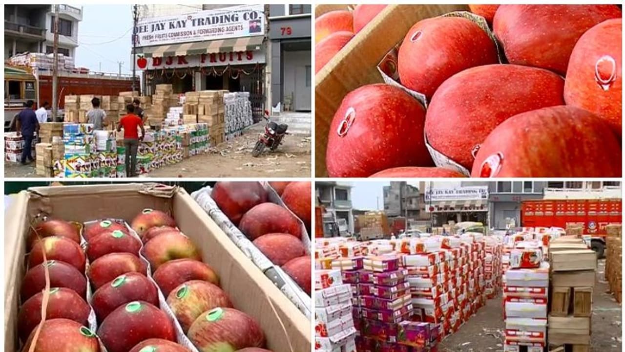 പുനസംഘടനക്ക് ശേഷം കശ്മീരിൽ സ്തംഭനാവസ്ഥ: ആപ്പിൾ വിപണിയും പ്രതിസന്ധിയിൽ: നേരിടുന്നത് കോടികളുടെ നഷ്ടം പുനസംഘടനക്ക് ശേഷം കശ്മീരിൽ സ്തംഭനാവസ്ഥ: ആപ്പിൾ വിപണിയും പ്രതിസന്ധിയിൽ: നേരിടുന്നത് കോടികളുടെ നഷ്ടം