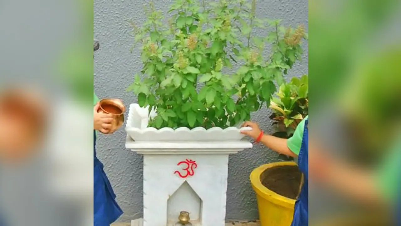 সুখ ও সমৃদ্ধি লাভ হবে সহজেই, এই পদ্ধতিতে করুন তুলসীর উপাসনা