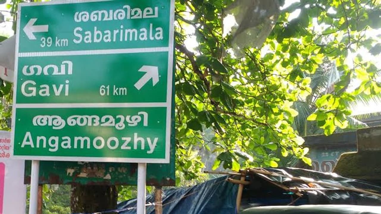 വീണ്ടും തുറന്ന് ഗവി, ഇനി കാഴ്ചകളുടെ പൂക്കാലം വീണ്ടും തുറന്ന് ഗവി, ഇനി കാഴ്ചകളുടെ പൂക്കാലം