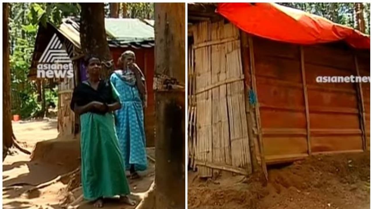വീടും ജോലിയും വാഗ്ദാനം ചെയ്ത് നാട്ടിലേക്ക് മാറ്റിത്താമസിപ്പിച്ചു; പക്ഷേ ഇപ്പോഴും ആദിവാസികളോട് അവഗണന വീടും ജോലിയും വാഗ്ദാനം ചെയ്ത് നാട്ടിലേക്ക് മാറ്റിത്താമസിപ്പിച്ചു; പക്ഷേ ഇപ്പോഴും ആദിവാസികളോട് അവഗണന
