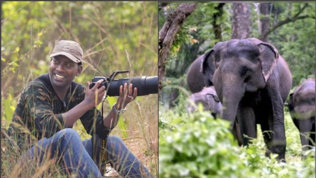 ছবির নেশায় হাতির সামনে, ফিরতে পারলেন না প্রকৃতিপ্রেমী আশিস ছবির নেশায় হাতির সামনে, ফিরতে পারলেন না প্রকৃতিপ্রেমী আশিস