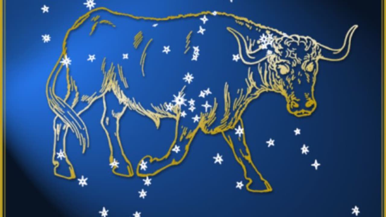 বছরের প্রথম মাস কেমন কাটবে বৃষ রাশির, দেখে নিন বছরের প্রথম মাস কেমন কাটবে বৃষ রাশির, দেখে নিন