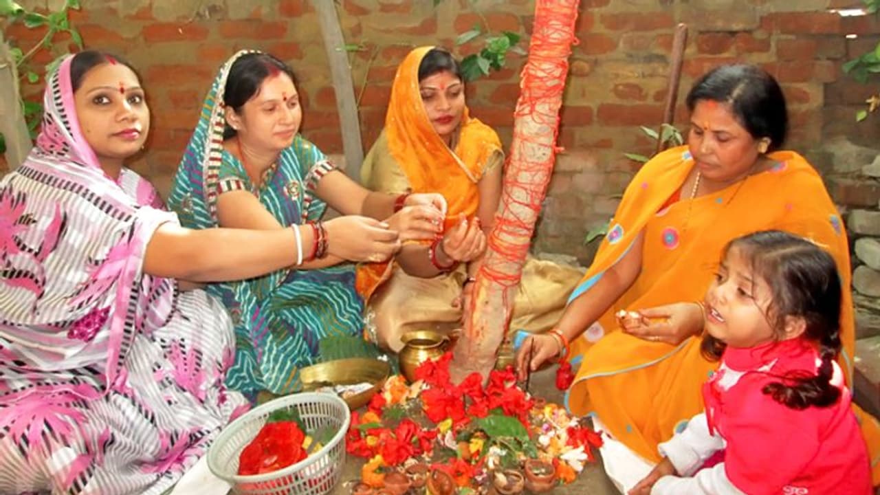 आंवले के पेड़ में होता है देवी लक्ष्मी का वास, अक्षय नवमी पर ऐसे करें इस वृक्ष की पूजा आंवले के पेड़ में होता है देवी लक्ष्मी का वास, अक्षय नवमी पर ऐसे करें इस वृक्ष की पूजा