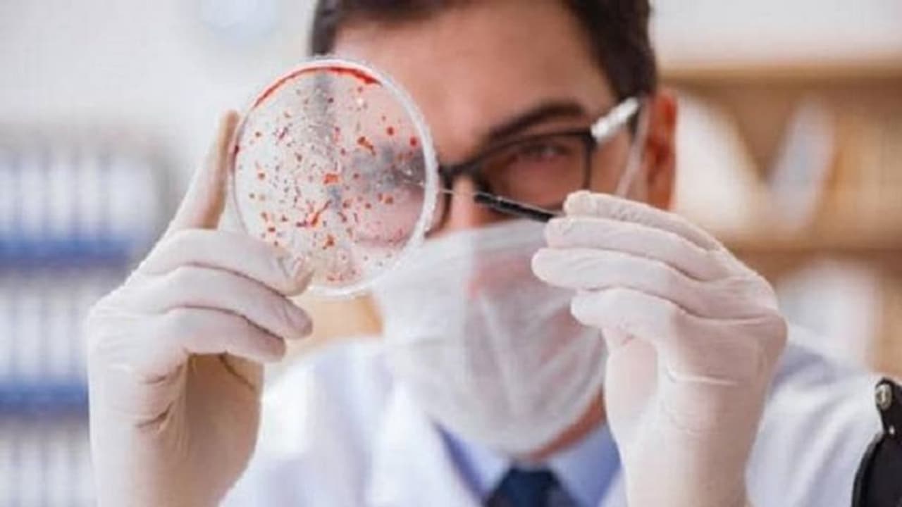 देश भर में बढ़ रहे हैं कैंसर के मामले, जानें क्या हैं कारण देश भर में बढ़ रहे हैं कैंसर के मामले, जानें क्या हैं कारण