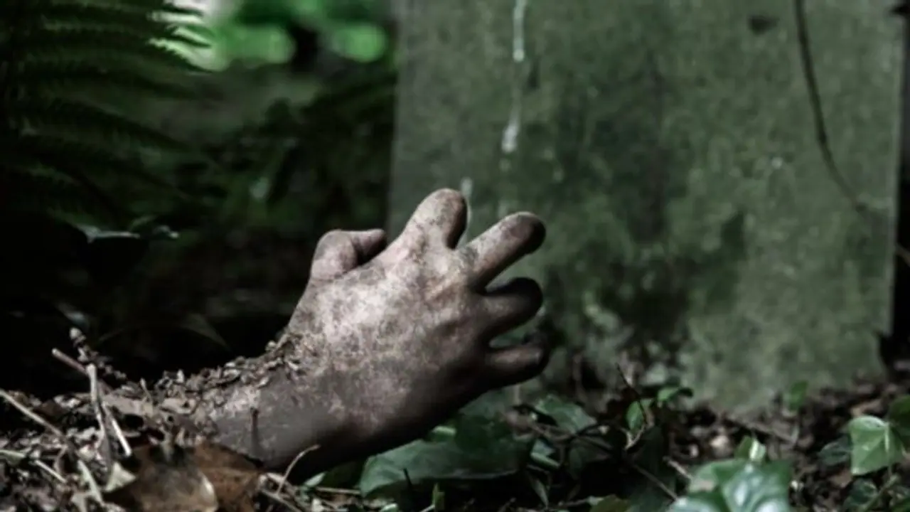 ফলে গেল ফকিরের বাণী, ৫০ বছর পর ফিরে এলেন কবর থেকে হারিয়ে যাওয়া 'মৃত স্বামী'