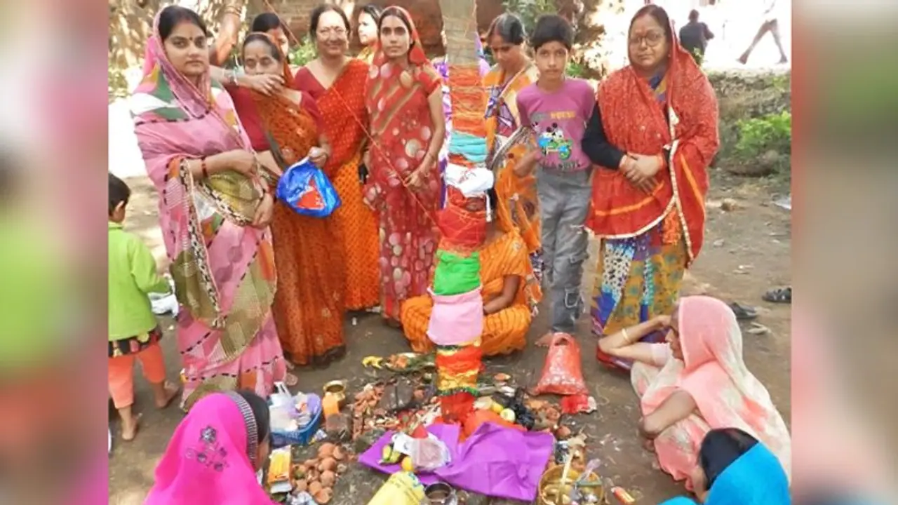 अक्षय नवमी आज: इस दिन आंवले के पेड़ के नीचे बैठकर भोजन करने से प्रसन्न होती हैं देवी लक्ष्मी अक्षय नवमी आज: इस दिन आंवले के पेड़ के नीचे बैठकर भोजन करने से प्रसन्न होती हैं देवी लक्ष्मी