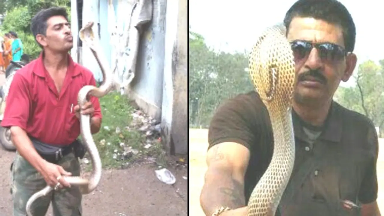 ১৯ বার ছোবল খেয়েও স্বাভাবিক, দুর্গাপুরের দেবাশিস এখন 'স্নেক ম্যান' ১৯ বার ছোবল খেয়েও স্বাভাবিক, দুর্গাপুরের দেবাশিস এখন 'স্নেক ম্যান'