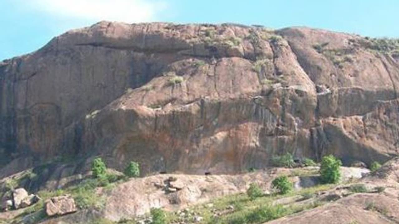 ಶೋಲೆ ಬೆಟ್ಟದ ರಣಹದ್ದುಗಳಿಗೆ ಮಾರಕವಾದ ರಸ್ತೆ!