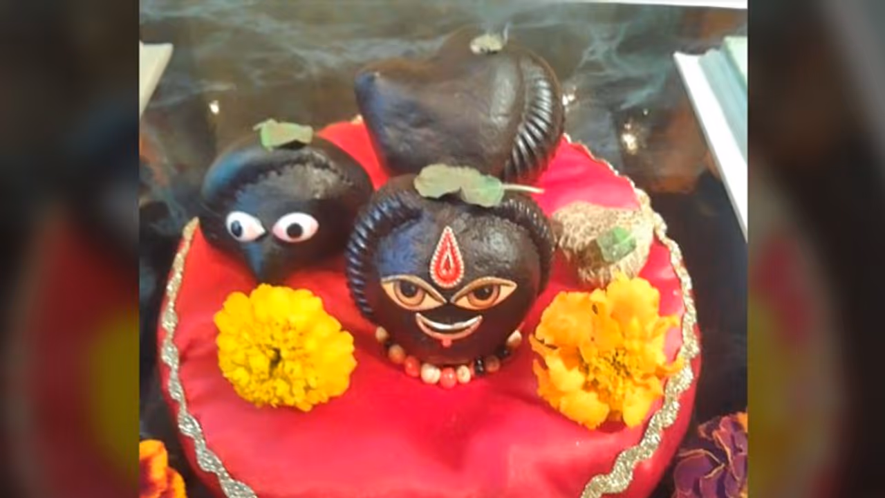 जिस घर में रोज होती है शालिग्राम की पूजा, वहां से दूर हो जाते हैं सभी तरह के दोष जिस घर में रोज होती है शालिग्राम की पूजा, वहां से दूर हो जाते हैं सभी तरह के दोष