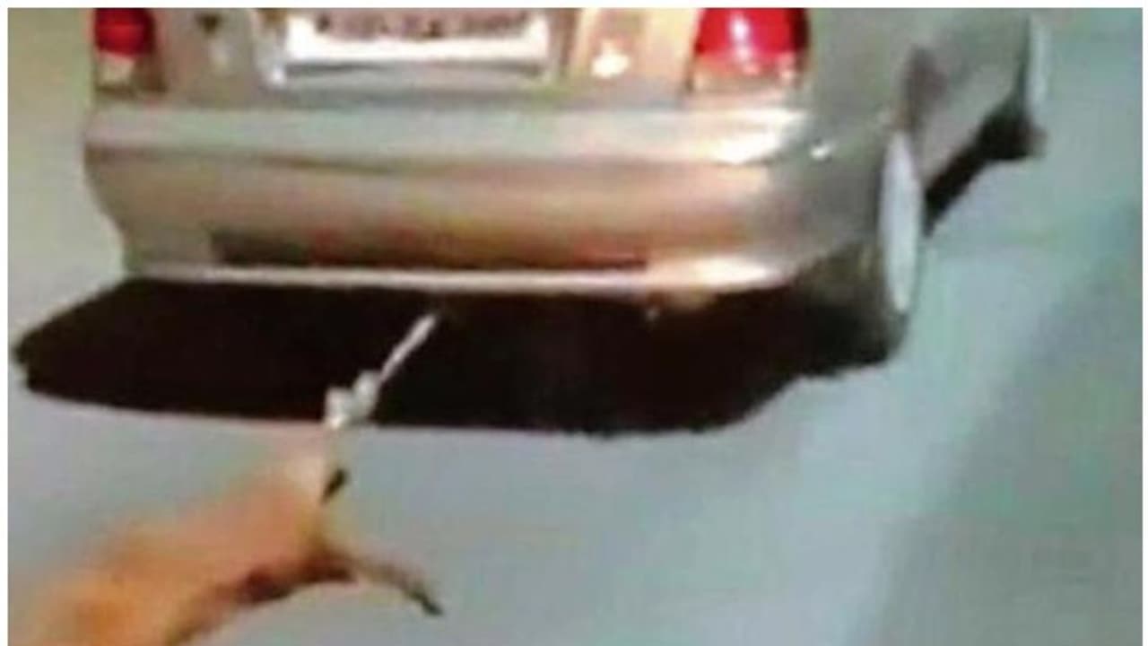 മിണ്ടാപ്രാണിയോട് ക്രൂരത; നായയെ കാറിന് പിന്നിൽ കെട്ടിവലിച്ചു; യുവാവ് അറസ്റ്റിൽ മിണ്ടാപ്രാണിയോട് ക്രൂരത; നായയെ കാറിന് പിന്നിൽ കെട്ടിവലിച്ചു; യുവാവ് അറസ്റ്റിൽ