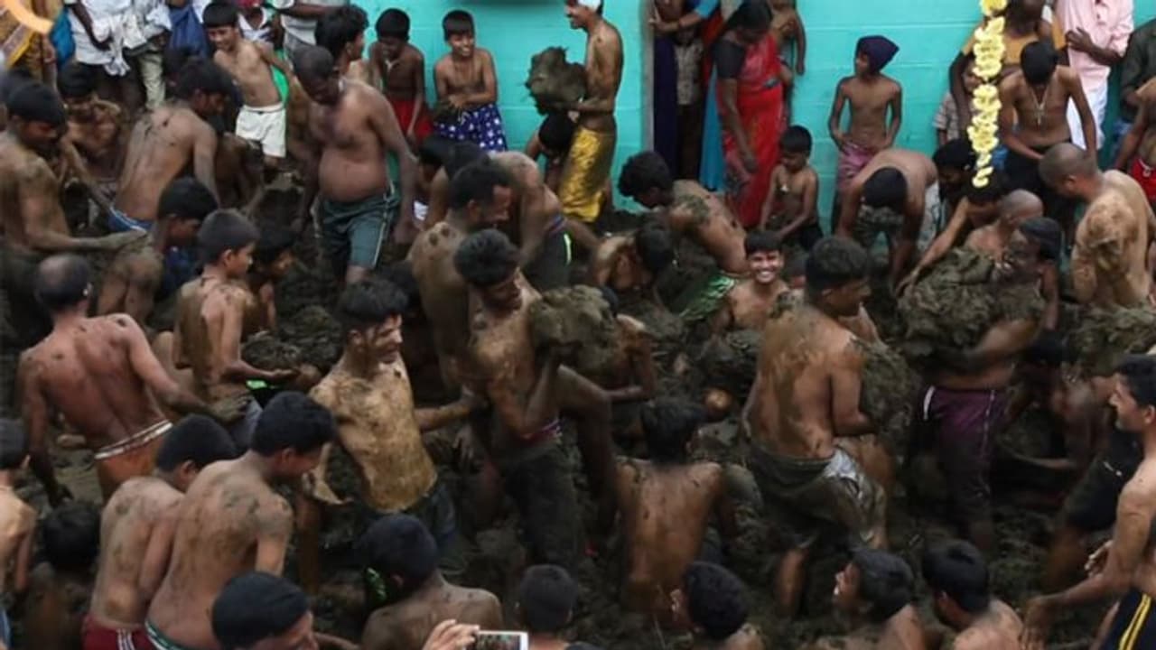 ചാണകമേറ്, ചാണകക്കുളി; ഇന്ത്യയിലെ ഏറ്റവും വലിയ ചാണകഫെസ്റ്റിവലില് പങ്കെടുക്കണോ? ഇവിടേക്ക് പോകാം ചാണകമേറ്, ചാണകക്കുളി; ഇന്ത്യയിലെ ഏറ്റവും വലിയ ചാണകഫെസ്റ്റിവലില് പങ്കെടുക്കണോ? ഇവിടേക്ക് പോകാം