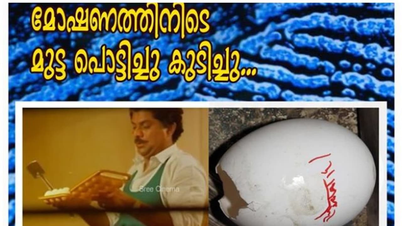 മോഷണത്തിനിടെ മുട്ടപൊട്ടിച്ച് കുടിച്ചു, കള്ളന് വലയിലായി; സംഭവം വിവരിച്ച് കേരള പൊലീസ് മോഷണത്തിനിടെ മുട്ടപൊട്ടിച്ച് കുടിച്ചു, കള്ളന് വലയിലായി; സംഭവം വിവരിച്ച് കേരള പൊലീസ്