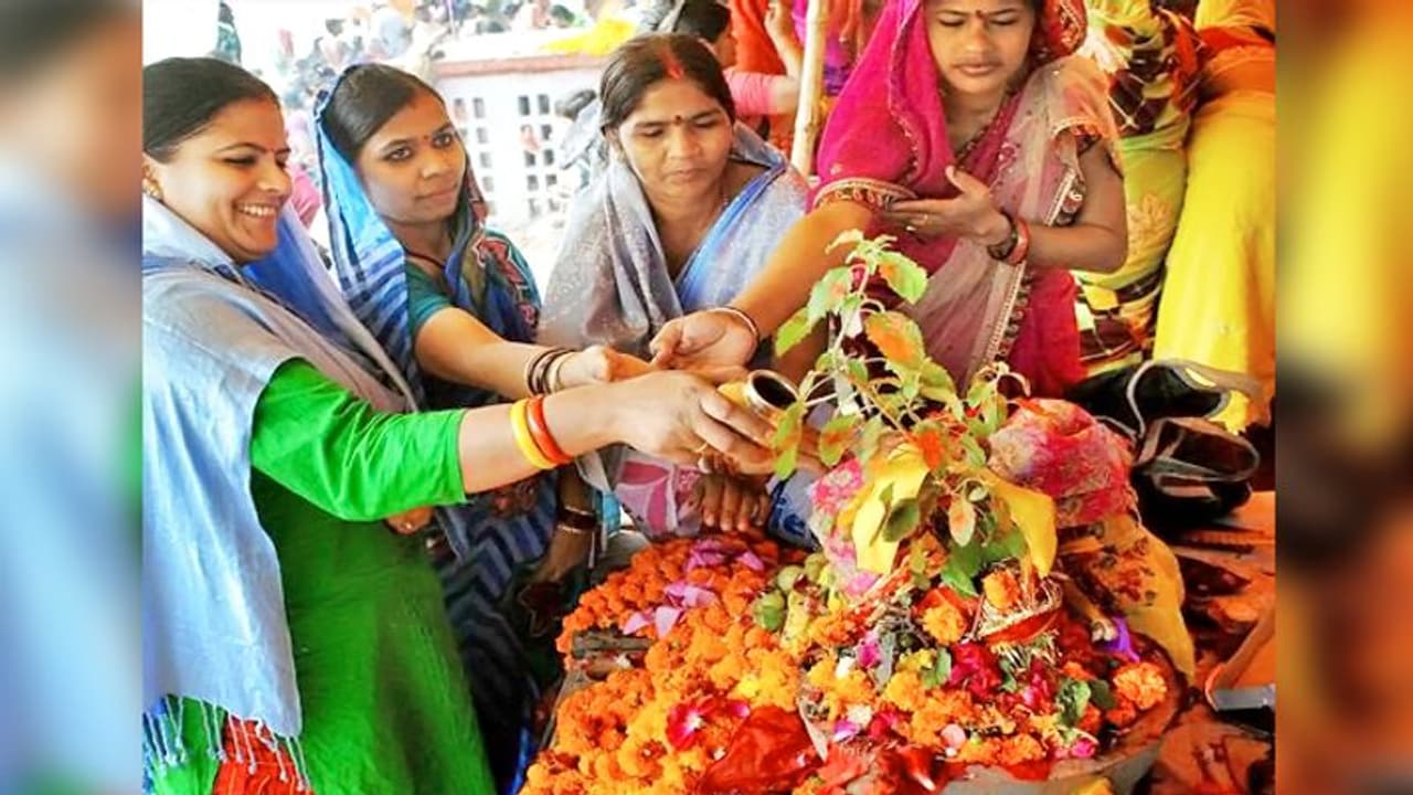 8 नवंबर को करें ये 7 आसान काम, दूर होंगे बुरे दिन और घर आएगी खुशियां 8 नवंबर को करें ये 7 आसान काम, दूर होंगे बुरे दिन और घर आएगी खुशियां