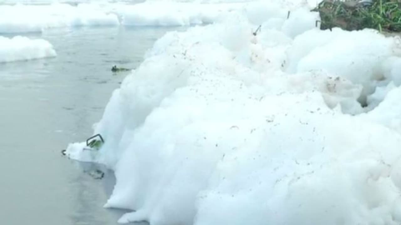 দেখলে মনে হবে হিমশৈল, যমুনার দূষিত জলের ছবি ভাইরাল দেখলে মনে হবে হিমশৈল, যমুনার দূষিত জলের ছবি ভাইরাল