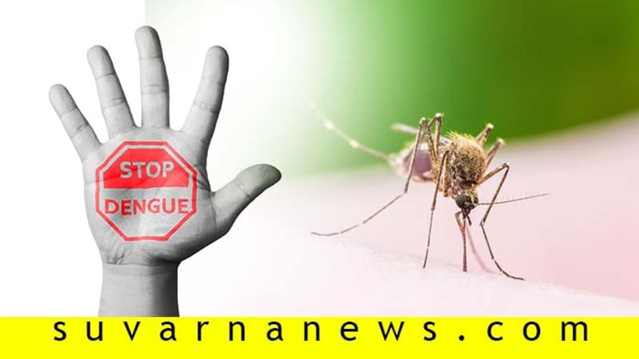 Fact Check: ಕೊಬ್ಬರಿ ಎಣ್ಣೆಯನ್ನು ಕಾಲಿಗೆ ಹಚ್ಚೋದ್ರಿಂದ ಡೆಂಘೀ ಹರಡಲ್ಲ! Fact Check: ಕೊಬ್ಬರಿ ಎಣ್ಣೆಯನ್ನು ಕಾಲಿಗೆ ಹಚ್ಚೋದ್ರಿಂದ ಡೆಂಘೀ ಹರಡಲ್ಲ!