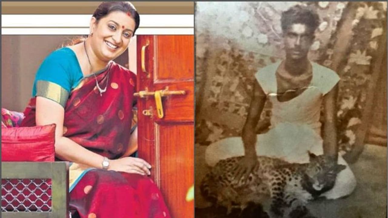 বসে আছেন কোলে চিতাবাঘ নিয়ে, ভালবাসা থেকে ত্যাগ স্মৃতি ইরানি যাবতীয় শিক্ষা এঁর কাছেই বসে আছেন কোলে চিতাবাঘ নিয়ে, ভালবাসা থেকে ত্যাগ স্মৃতি ইরানি যাবতীয় শিক্ষা এঁর কাছেই