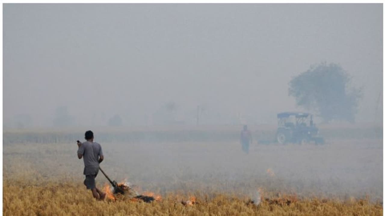 ദില്ലി അന്തരീക്ഷ മലിനീകരണം: പാടത്ത് തീയിട്ടതിന് പഞ്ചാബിൽ 80 കർഷകരെ പൊലീസ് അറസ്റ്റ് ചെയ്തു