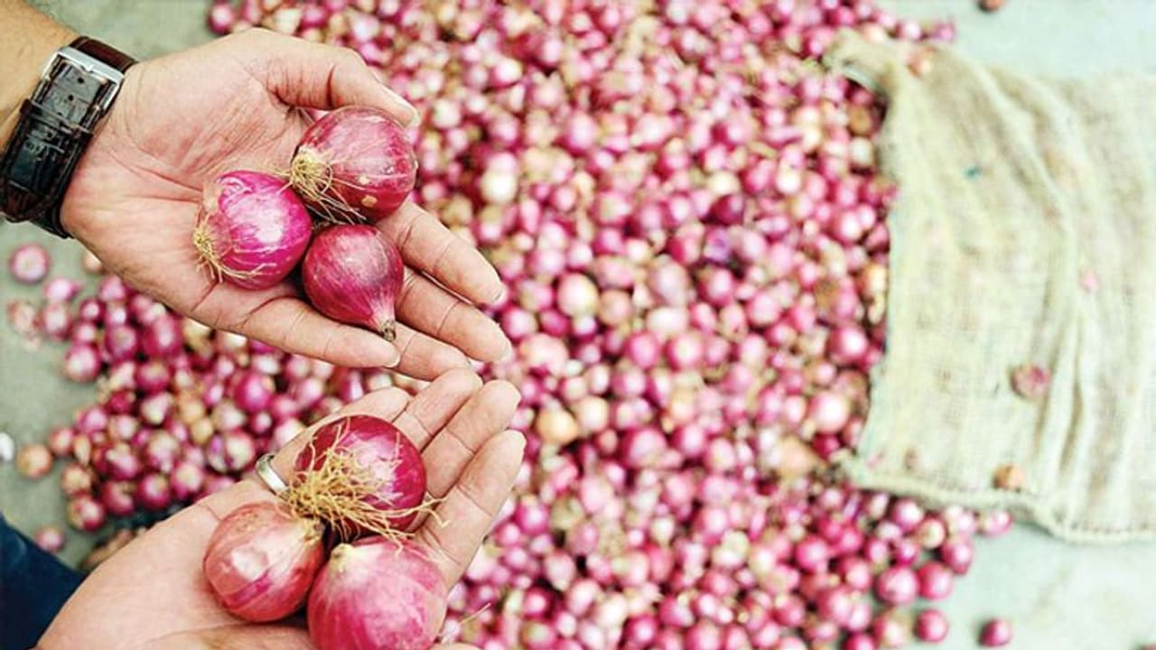 1 ಕೇಜಿ ಈರುಳ್ಳಿ 220 ರು.: ಪ್ರಧಾನಿ ಮನೆಯಲ್ಲಿ ಈರುಳ್ಳಿ ಬಳಕೆ ಕಟ್‌!