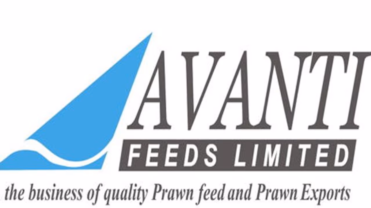 అవంతి అగ్రో ఫీడ్స్ కంపెనీపై ఐటీ దాడులు అవంతి అగ్రో ఫీడ్స్ కంపెనీపై ఐటీ దాడులు