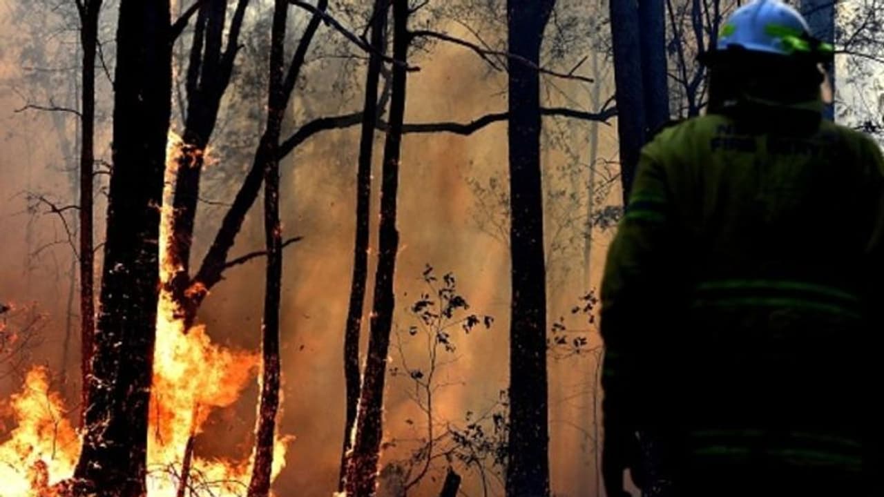 বাড়ি বাঁচাতে এসে দুধ খেলেন , ক্ষমা চেয়ে দমকলকর্মীদের চিঠি ভাইরাল নেট দুনিয়ায় বাড়ি বাঁচাতে এসে দুধ খেলেন , ক্ষমা চেয়ে দমকলকর্মীদের চিঠি ভাইরাল নেট দুনিয়ায়