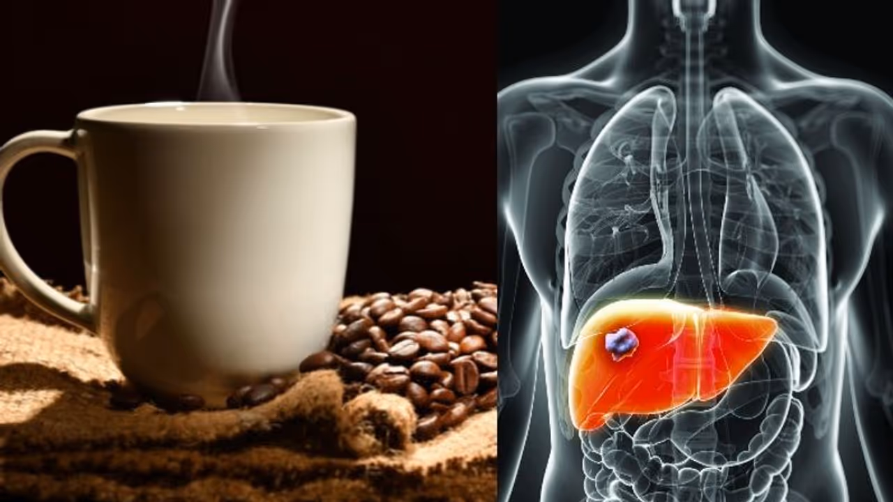 കരള്‍ ക്യാന്‍സറും കോഫി കുടിയും; പുതിയ പഠനം പറയുന്നത് ഇങ്ങനെ...